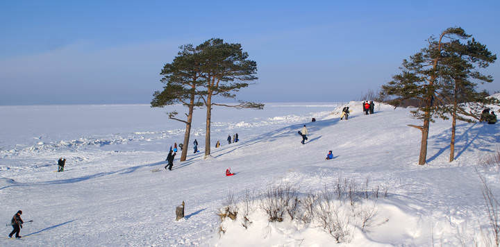 Ягринские дюны.