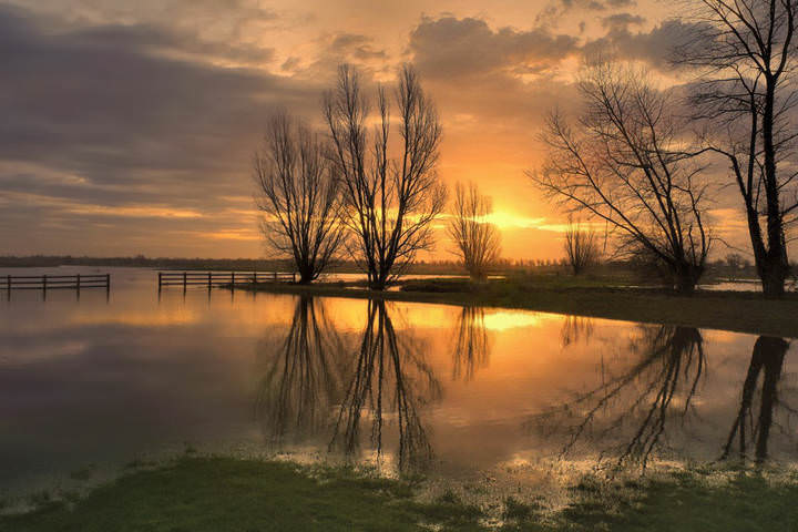 The morning after the rain.