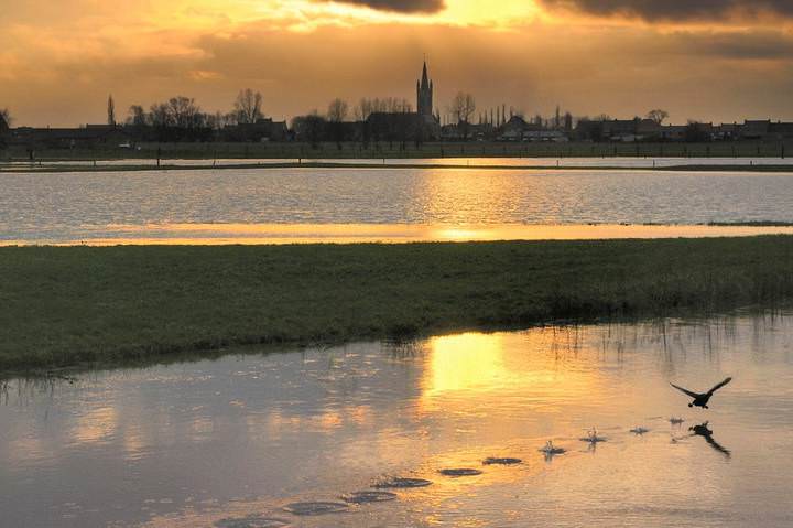 Sunrise over the flood.