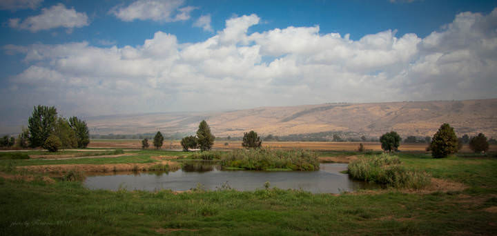 Emek HaHula