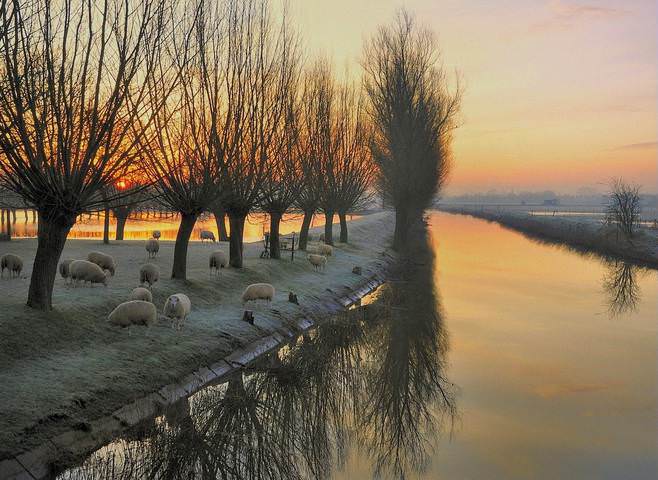 A winter morning on the waterfront.