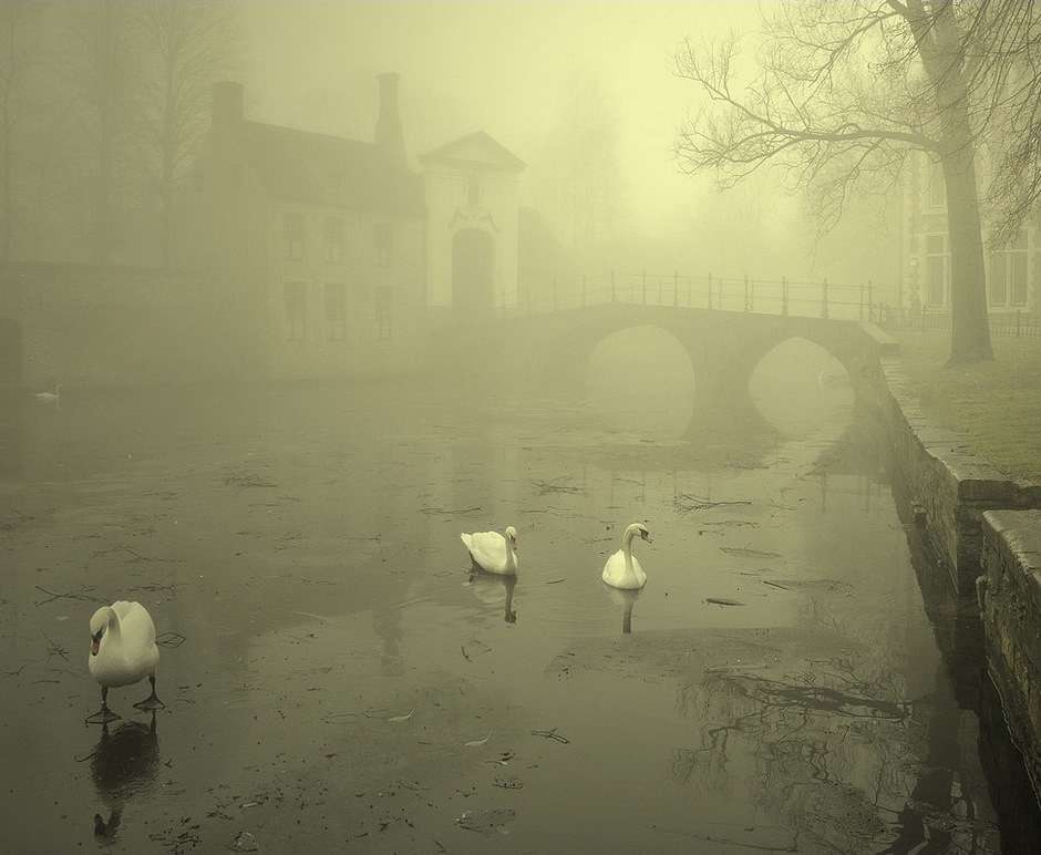 A foggy winter morning in Bruges.