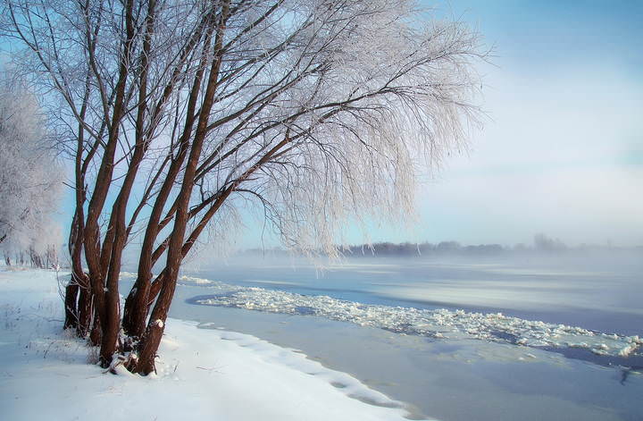 Морозное утро