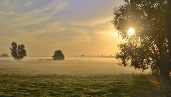 A carpet of fog.