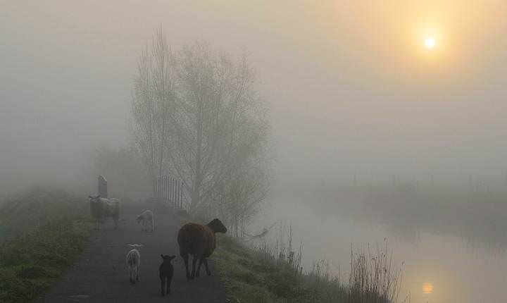 Mysterious fog.