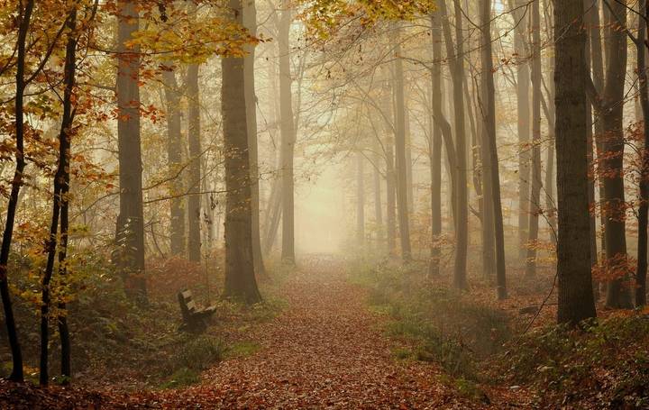 Colors of the autumn.