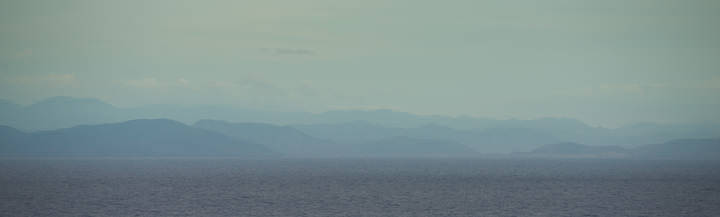  перекати море