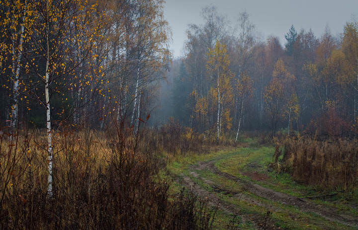 Хмурая осень