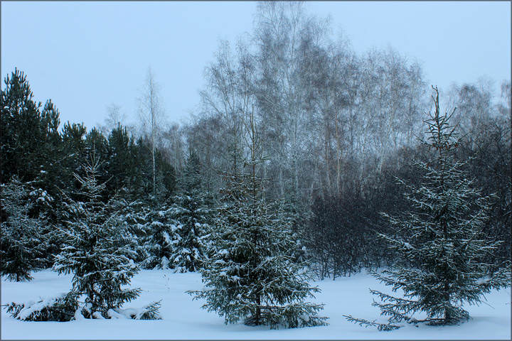 зима