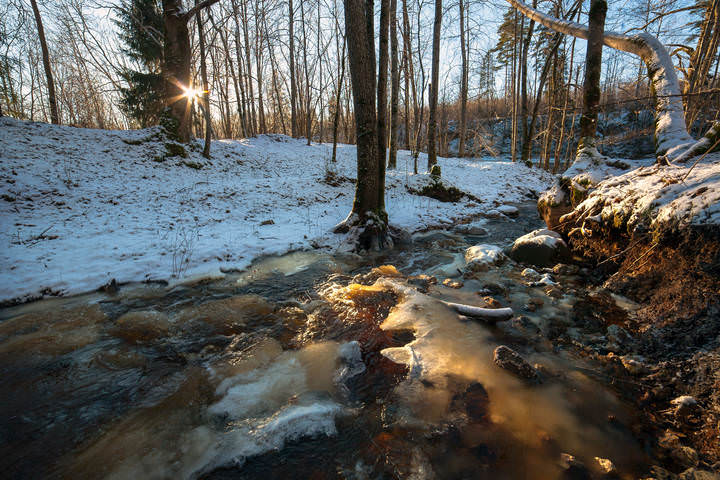 winter