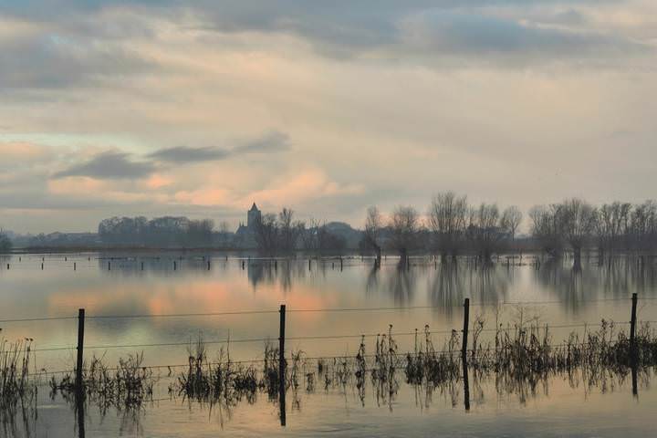 Morning in Beveren.