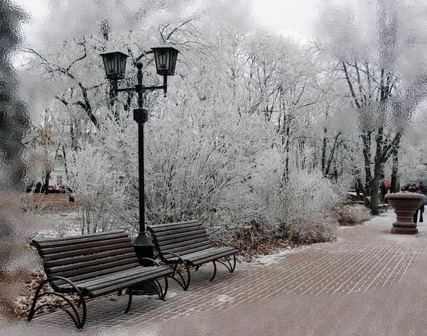 В зимнем парке