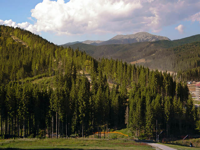 # 5