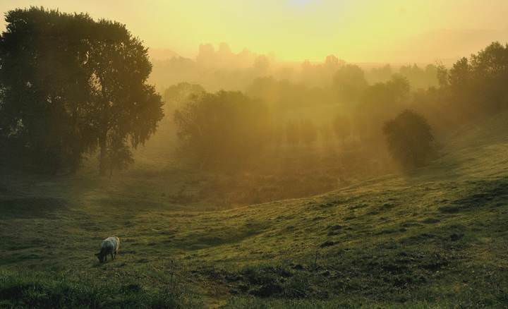 Golden light.