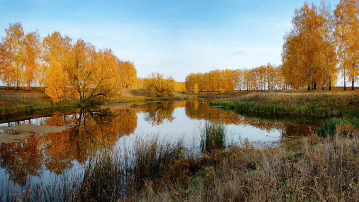 Краски осени_2