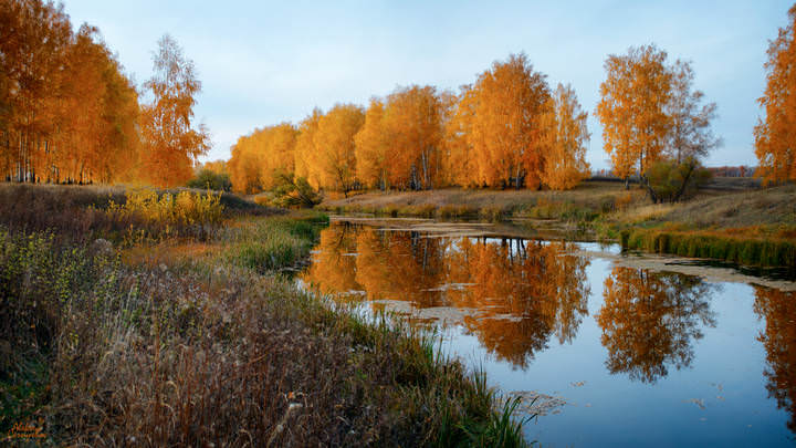 Краски осени