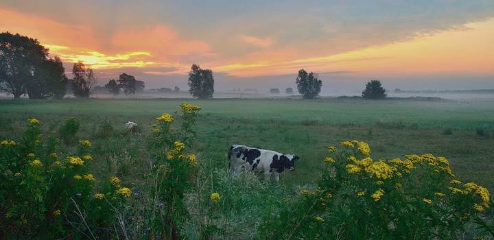 Colors of the summer.