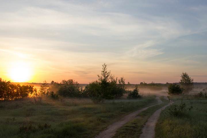 Утро