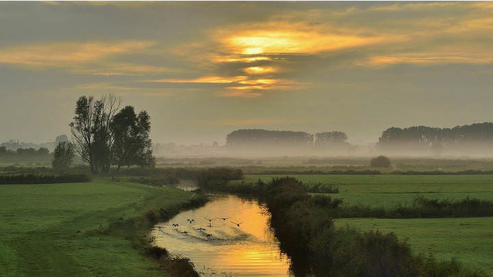 Golden river.