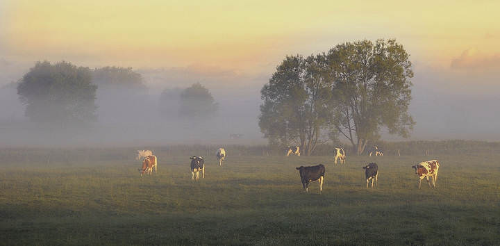 Colors of a summer morning.