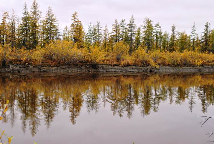 Осенняя тишина