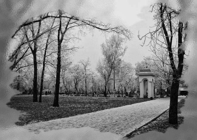 Серия "Зимний парк"