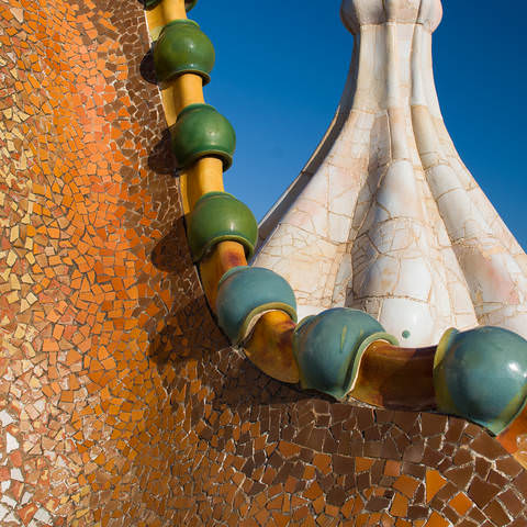  Casa Batlló --- casa del Ossos