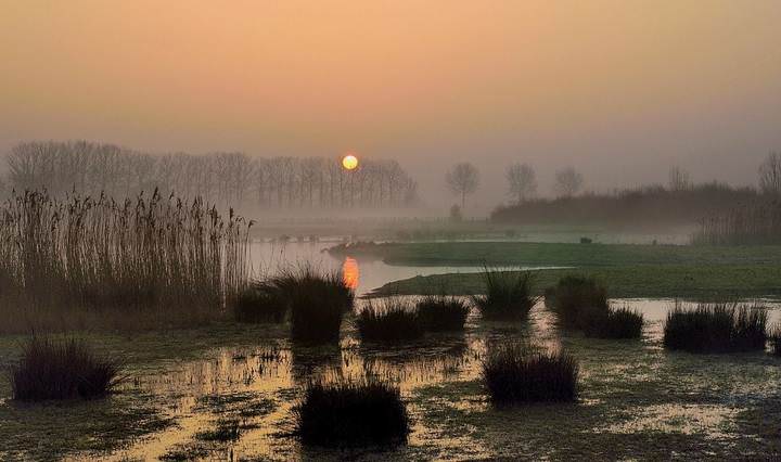 A morning in Stuivekenskerke.