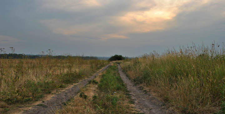 Степными дорогами