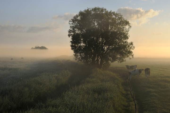 Foggy morning in Esen.