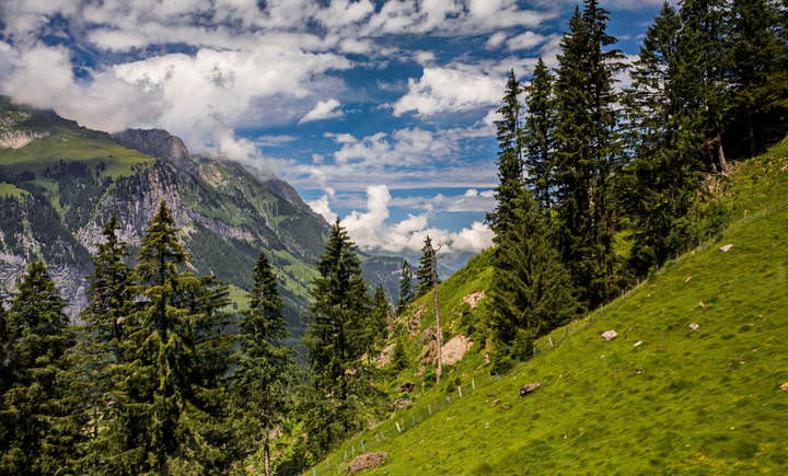 The Alps 2014 Switzerland Kandersteg 20