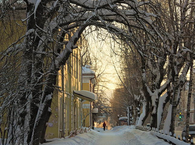 Морозное
