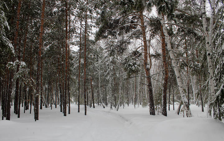 снежно