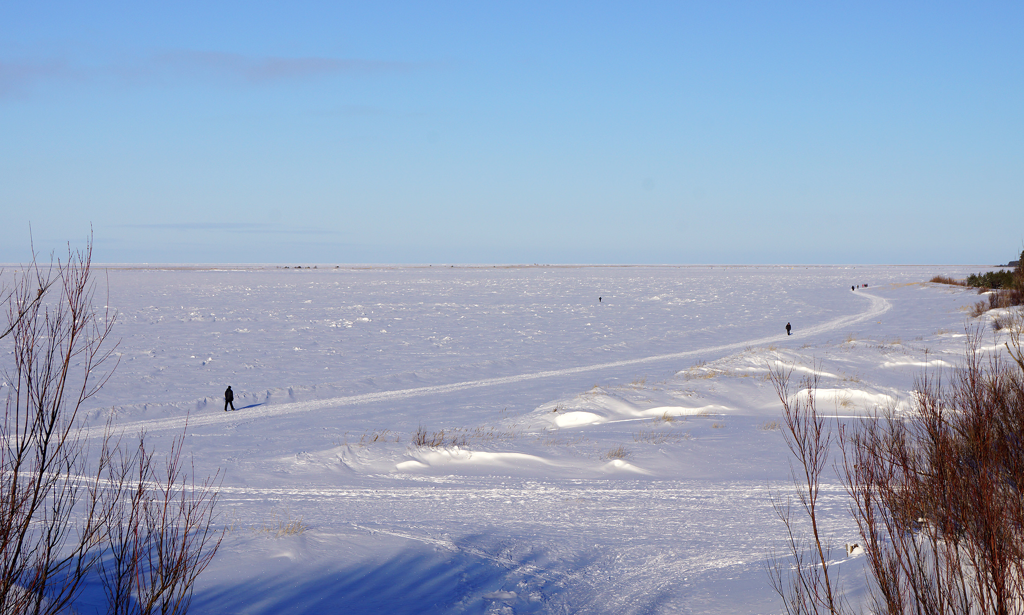 ягры.09.02.15 011.Вид на Белое море с дюн.