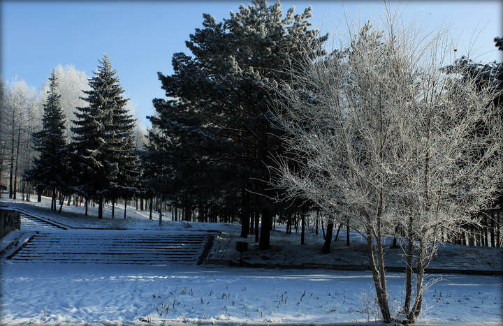 в парке