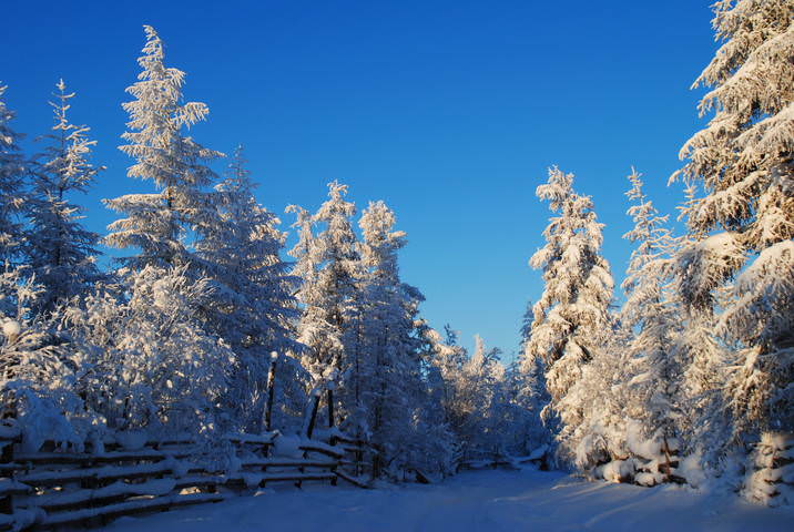Февраль.