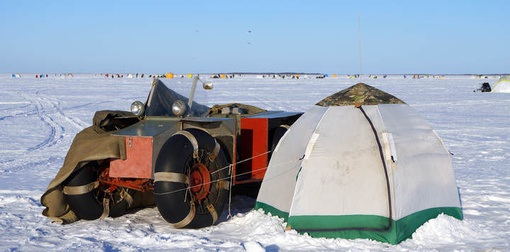 ягры.15.02.15 009.Каракат отдыхает(дует северный ледяной ветерок,солнышко пока не греет...).