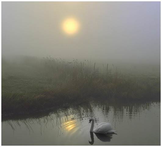 A romantic morning.