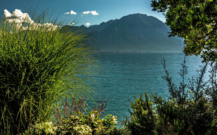 The Alps 2014 Switzerland Montreux 5