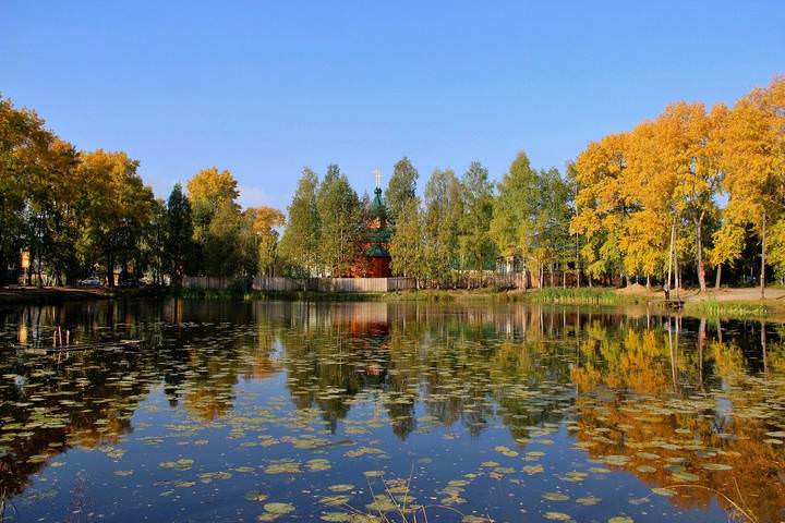 Художница осень достала мольберт.