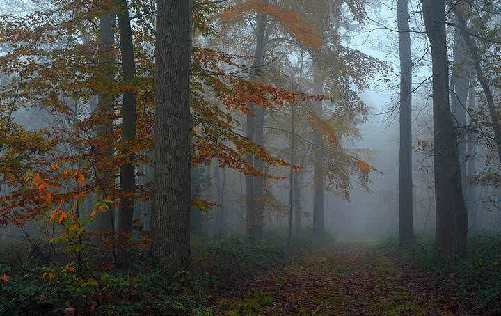 Autumn in Koekelare.
