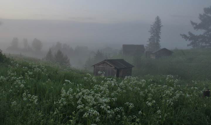 Туманные хроники.
