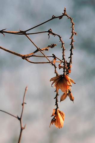 # 4