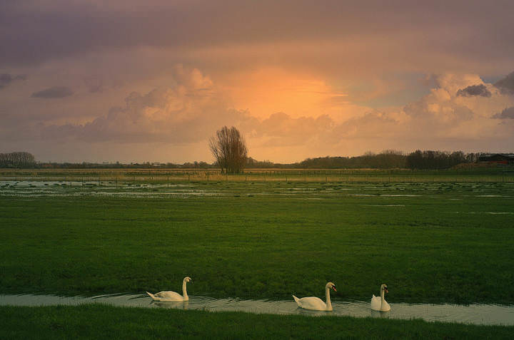 A morning in Woumen.