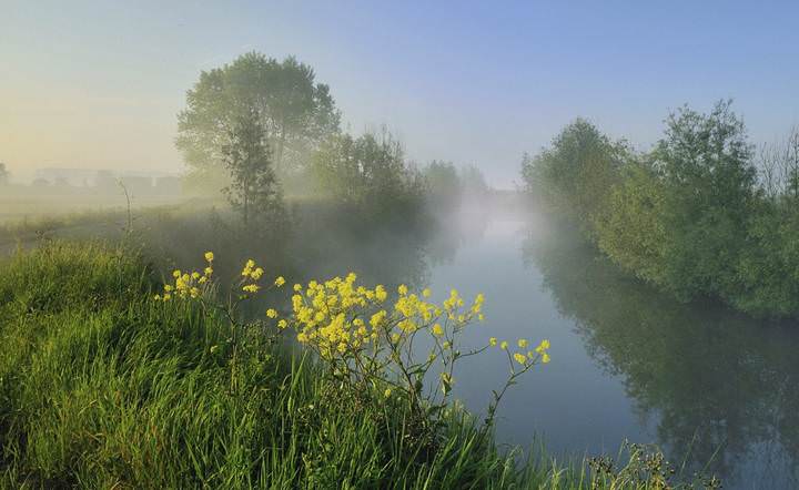A morning in Zarren.