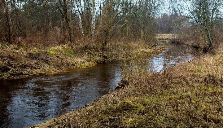 Spring breath