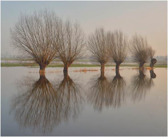 Reflection.