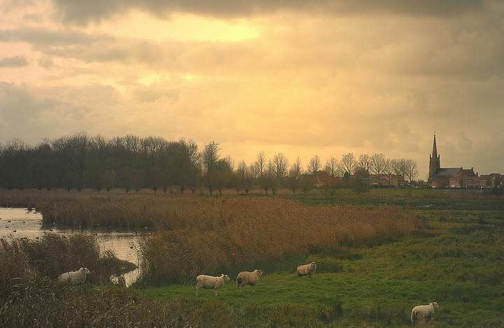 Evening in Stuivekenskerke.