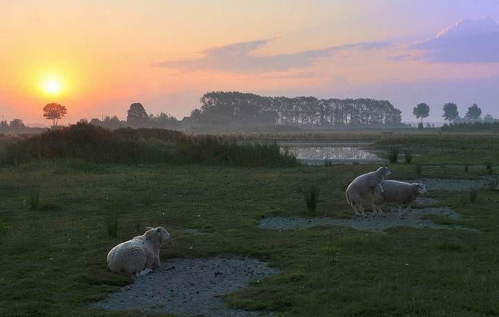 A romantic morning in Stuivekenskerke.