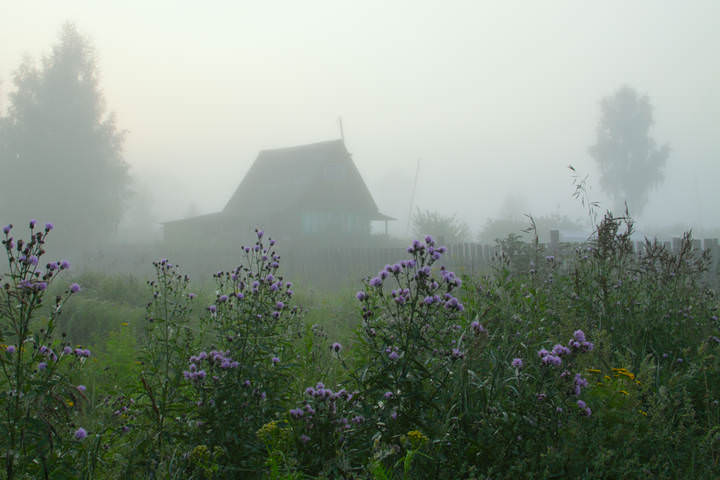 Утро